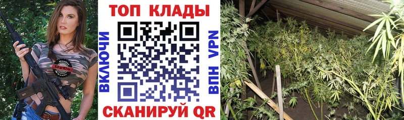 Купить закладку Гашиш  Канабис  МЕФ  Алдан