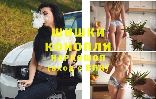 крисы Магадан