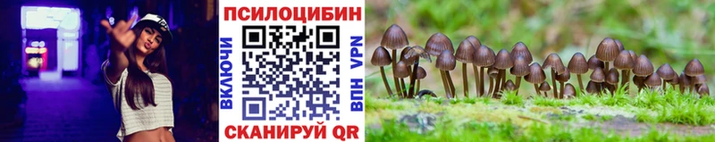 Купить  Алдан  Галлюциногенные грибы Magic Shrooms 